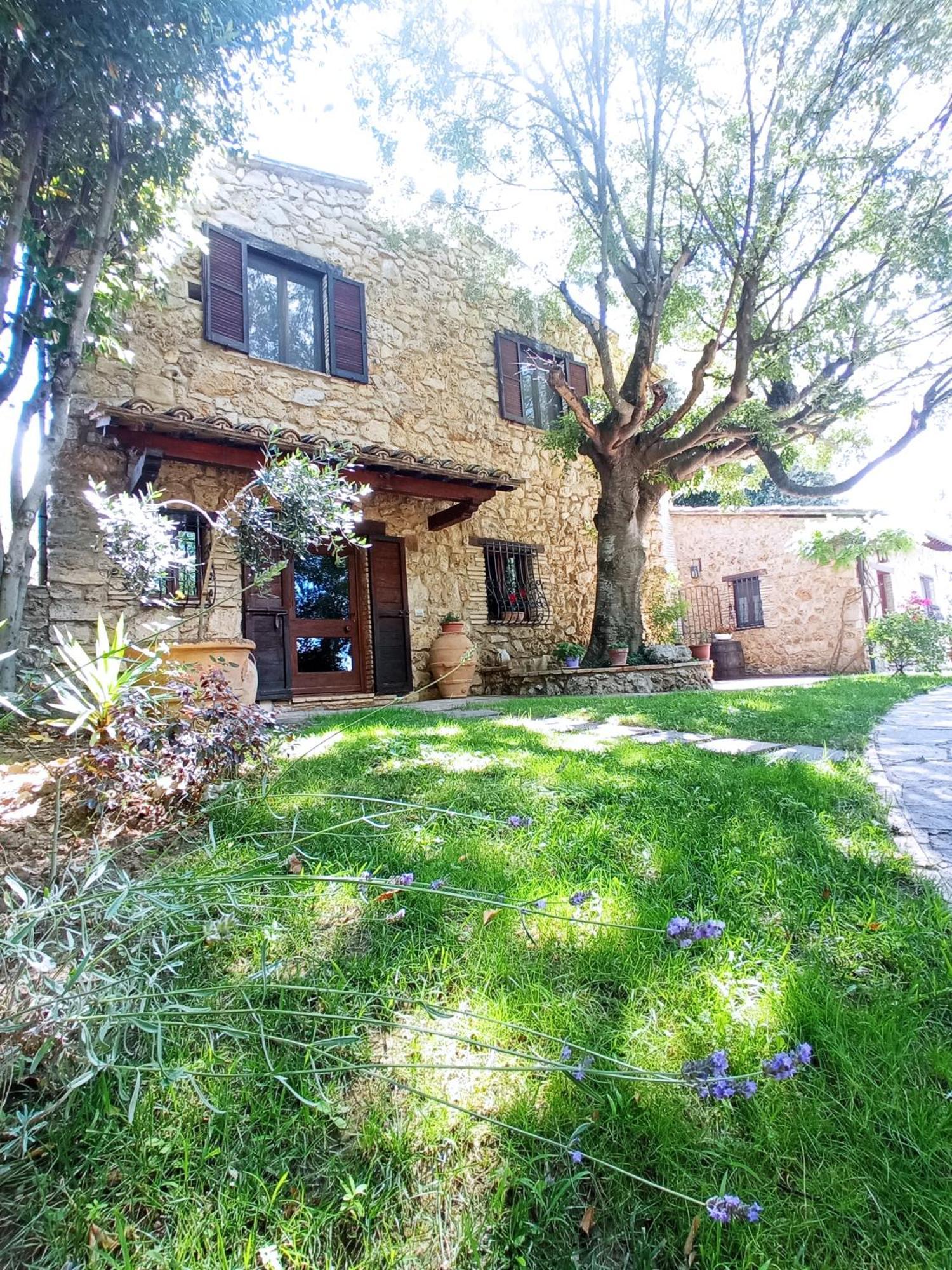 All'Ombra Di San Damiano Assisi Exterior foto