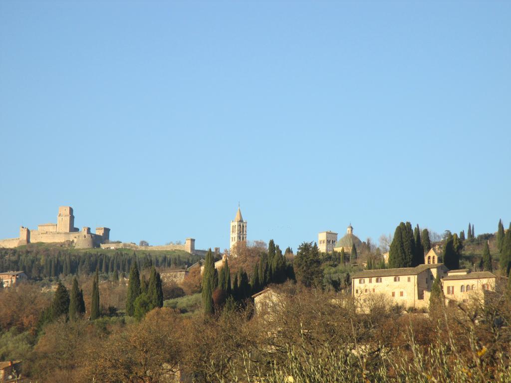 All'Ombra Di San Damiano Assisi Exterior foto